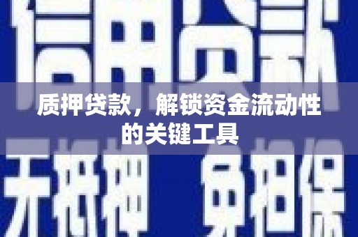 阳东质押贷款，解锁资金流动性的关键工具