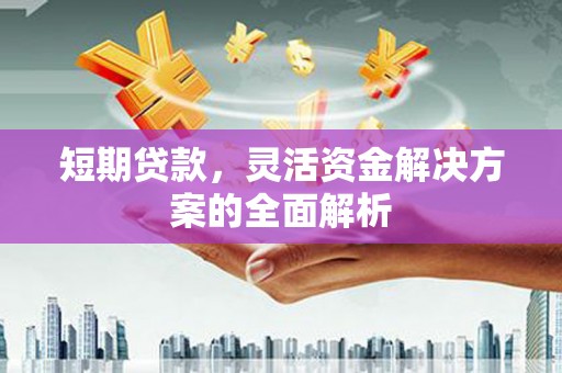 阳东短期贷款，灵活资金解决方案的全面解析