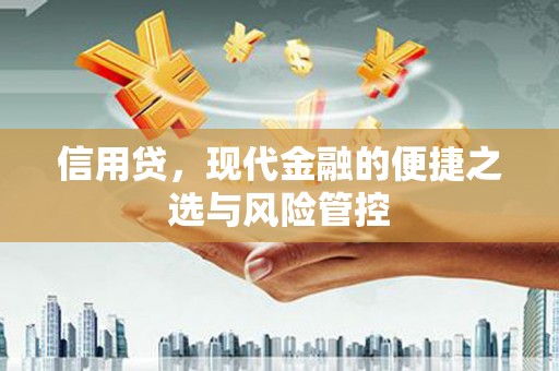 阳东信用贷，现代金融的便捷之选与风险管控