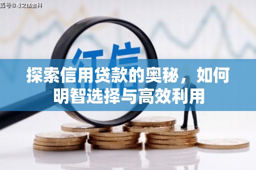 阳东探索信用贷款的奥秘，如何明智选择与高效利用