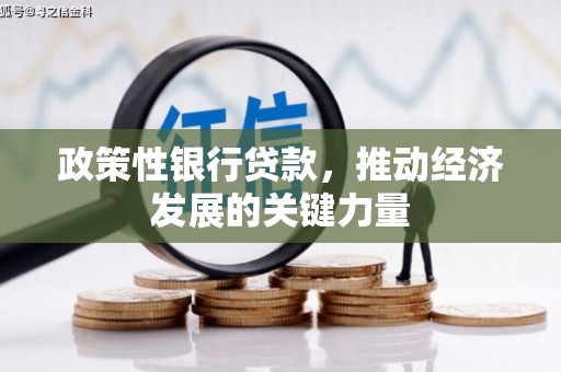 阳东政策性银行贷款，推动经济发展的关键力量