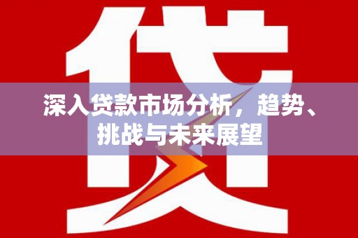 阳东深入贷款市场分析，趋势、挑战与未来展望