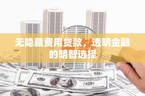 阳东无隐藏费用贷款，透明金融的明智选择