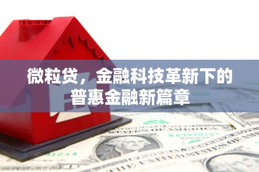 阳东微粒贷，金融科技革新下的普惠金融新篇章