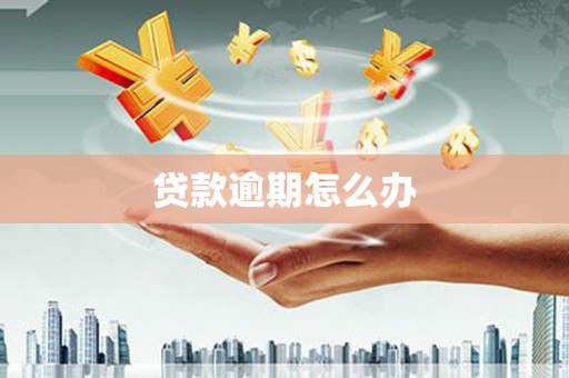阳东贷款逾期怎么办