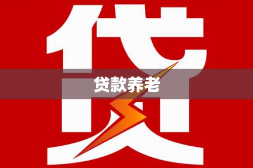 阳东贷款养老