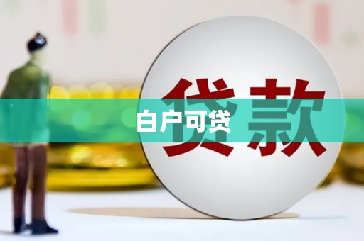 阳东白户可贷
