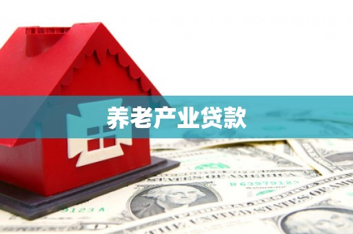 阳东养老产业贷款