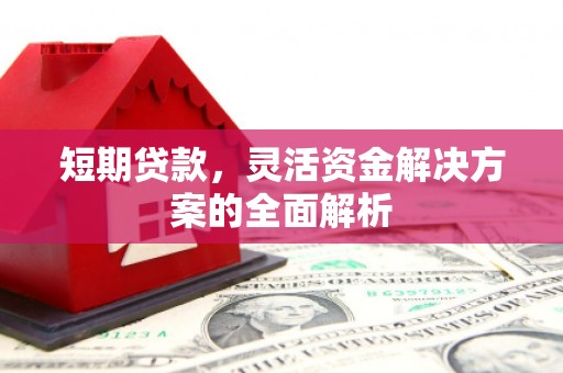 阳东短期贷款，灵活资金解决方案的全面解析