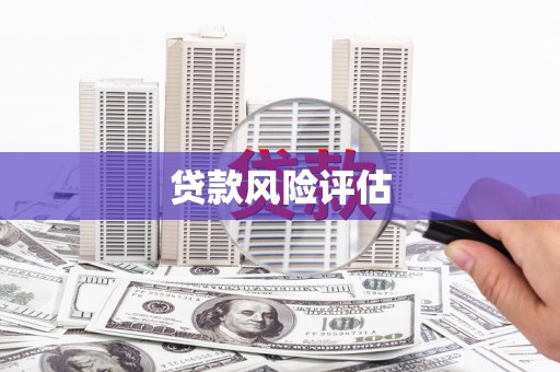 阳东贷款风险评估