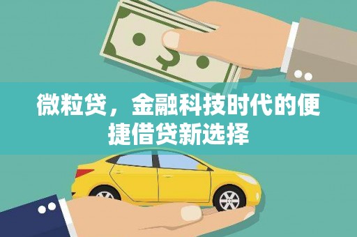 阳东微粒贷，金融科技时代的便捷借贷新选择