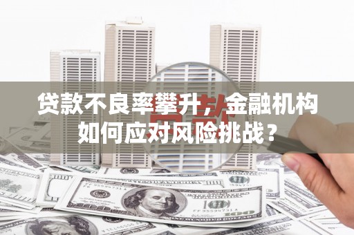 阳东贷款不良率攀升，金融机构如何应对风险挑战？