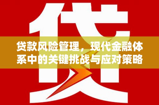 阳东贷款风险管理，现代金融体系中的关键挑战与应对策略