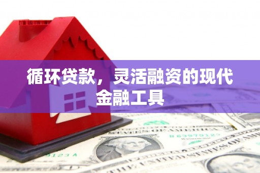 阳东循环贷款，灵活融资的现代金融工具