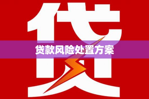 阳东贷款风险处置方案