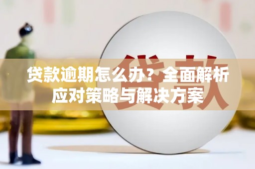 阳东贷款逾期怎么办？全面解析应对策略与解决方案
