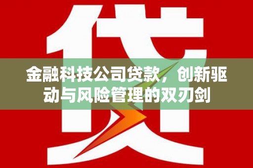 阳东金融科技公司贷款，创新驱动与风险管理的双刃剑