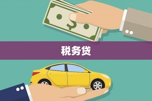 阳东税务贷